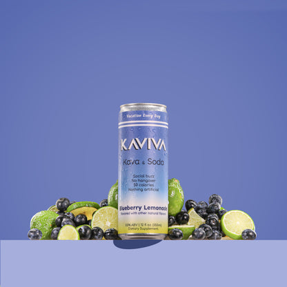 PREORDER | Blueberry Lemonade | Kaviva | Kava & Soda | Hangover-free Buzz