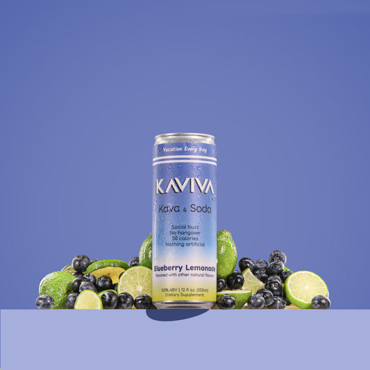 PREORDER | Blueberry Lemonade | Kaviva | Kava & Soda | Hangover-free Buzz