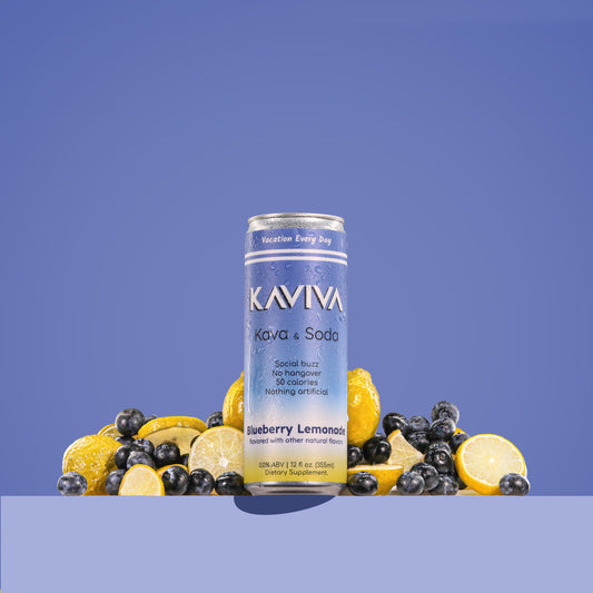PREORDER | Blueberry Lemonade | Kaviva | Kava & Soda | Hangover-free Buzz