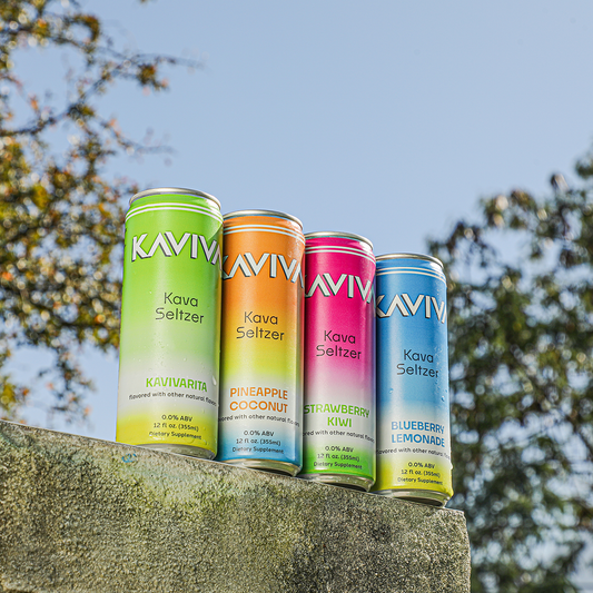 Kaviva Social Seltzer